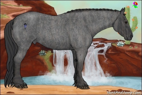 Horse Color:Blue Roan  Brindle