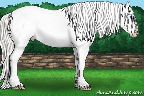 Horse Color:Silver Bay Roan Dun Splash Blanket