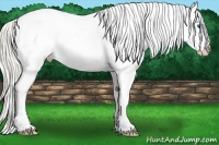 Horse Color:Silver Bay Roan Dun Splash Appaloosa 