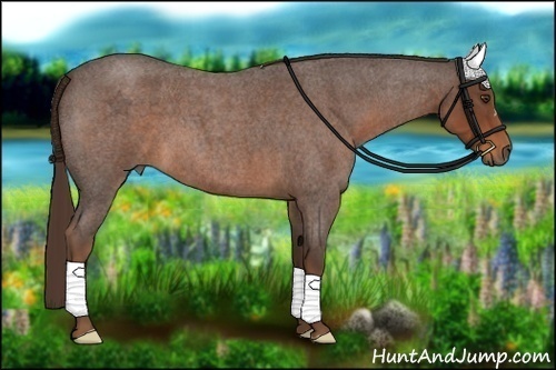 Horse Color:Liver Red Roan 