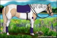 Horse Color:Gold Champagne Tobiano Frame Rabicano