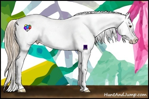 Horse Color:Red Dun Varnish 