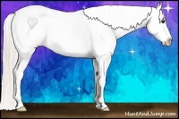 Horse Color:Silver Bay Roan Dun Splash Varnish 