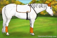Horse Color:Cremello Sabino 