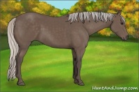 Horse Color:Silver Black Rabicano