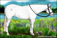 Horse Color:Buckskin Roan Dun Splash Frame Blanket Rabicano