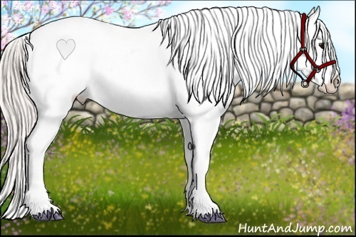 Horse Color:Silver Brown Roan Splash Frame Appaloosa 