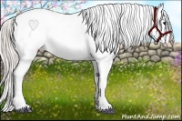 Horse Color:Silver Brown Roan Splash Frame Appaloosa 