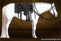 Horse Color:Chestnut Snowcap