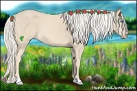Horse Color:Cremello 
