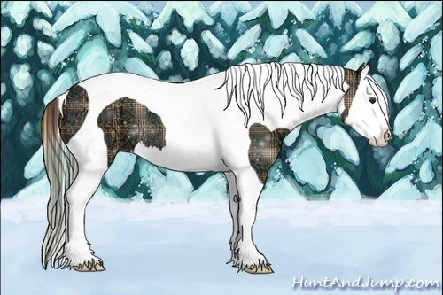 Horse Color:Plaid  Liver Chestnut Ice Splash Tobiano 