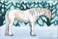 Horse Color:Silver Black Pearl Tobiano 