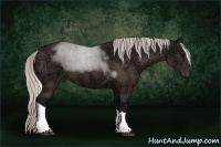 Horse Color:Silver Brown Ice Tobiano 
