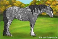 Horse Color:Black Ice 