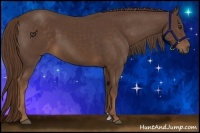 Horse Color:Liver Chestnut Sabino