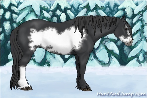 Horse Color:Black Frame