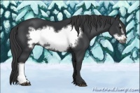 Horse Color:Black Frame 