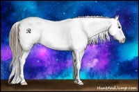 Horse Color:White Spotted Smoky Black Splash Appaloosa Rabicano