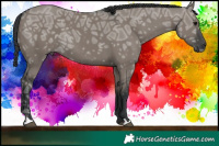 Horse Color:Grullo Ice Rabicano