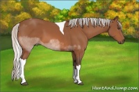 Horse Color:Silver Bay Tobiano 