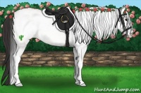 Horse Color:White Spotted Buckskin 