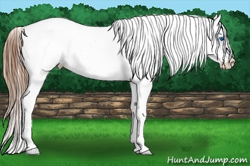 Horse Color:Brown Splash Tobiano Varnish