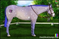 Horse Color:Watercolor Amber Champagne 