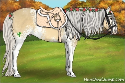 Horse Color:White Spotted Silver Buckskin Dun Sabino