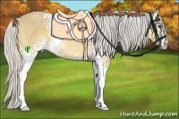 Horse Color:White Spotted Silver Buckskin Dun Sabino 