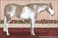 Horse Color:White Spotted Silver Smoky Grullo Sabino Frame 