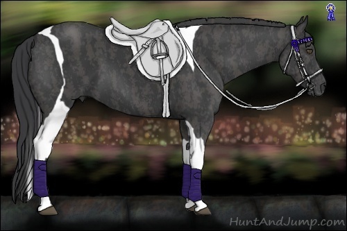 Horse Color:Black Tobiano Brindle