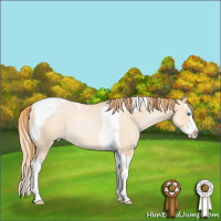 Horse Color:Smoky Grullo Roan Pearl Splash Tobiano 