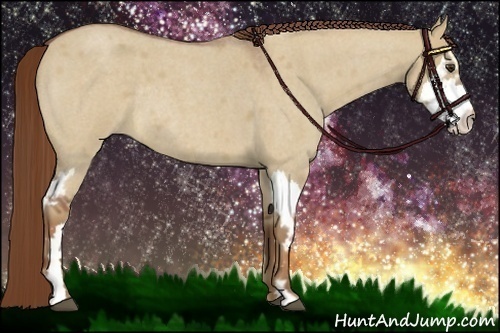 Horse Color:Red Dun Roan Splash Frame Rabicano 