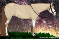 Horse Color:Red Dun Roan Splash Frame Rabicano