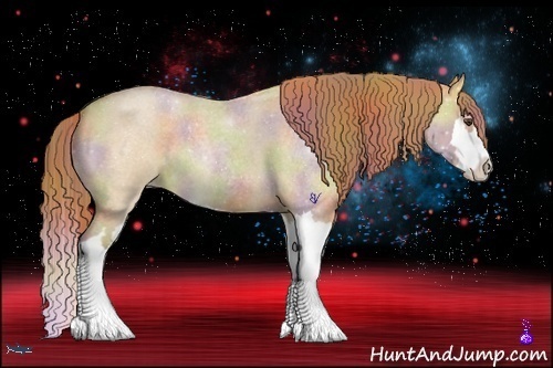 Horse Color:Nacre Red Dun Roan Splash Frame Rabicano