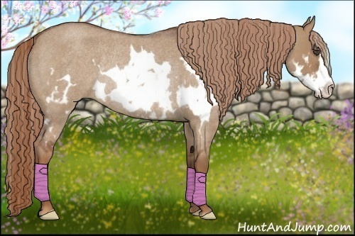 Horse Color:Red Dun Roan Splash Frame Rabicano