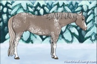 Horse Color:White Spotted Silver Black Ice Sabino Splash