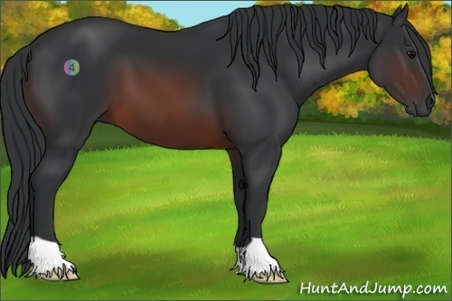 Horse Color:Brown 