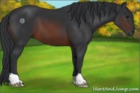 Horse Color:Brown 