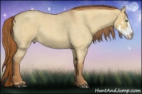 Horse Color:Red Dun Roan Splash Frame Rabicano 