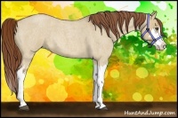 Horse Color:Red Dun Roan Splash Frame Rabicano