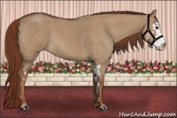 Horse Color:Red Dun Roan Splash Frame Rabicano 