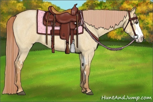 Horse Color:Red Dun Roan Splash Frame Rabicano