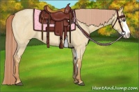 Horse Color:Red Dun Roan Splash Frame Rabicano 