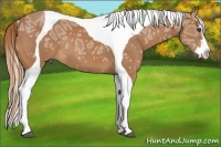 Horse Color:Chestnut Ice Splash Tobiano Frame Rabicano