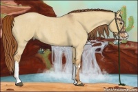Horse Color:Red Dun Roan Splash Frame Rabicano