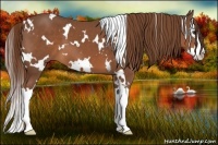 Horse Color:White Spotted Chestnut Splash 