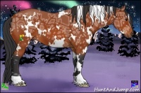 Horse Color:White Spotted Bay Ice