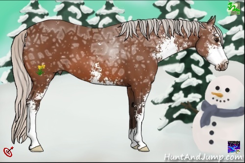 Horse Color:Silver Bay Ice Sabino 