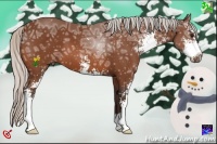 Horse Color:Silver Bay Ice Sabino
